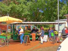 How to Avoid Food Poisoning in Summer 