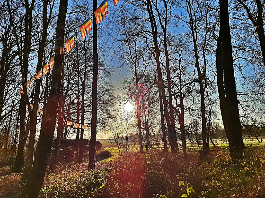 prayers flags on my backyard
