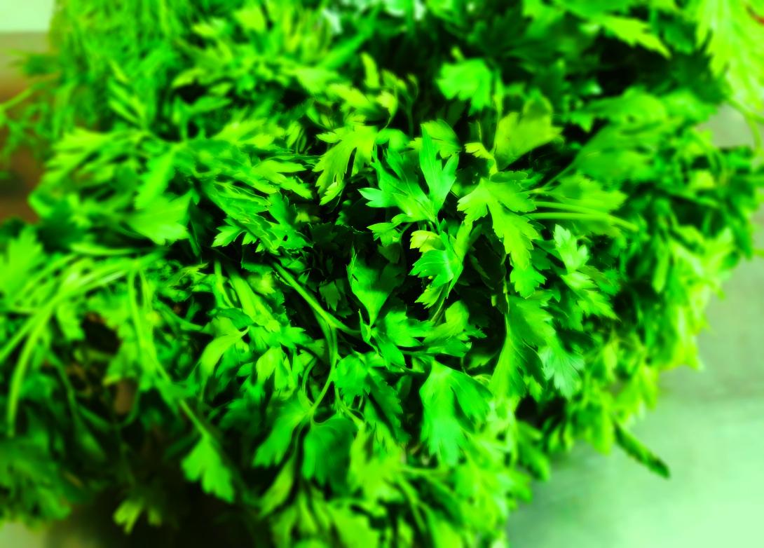parsley for health and taste